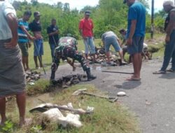 Babinsa Koramil 1605-09/Bdf Lakukan Karya Bakti Bersama Anggota Dewan dan Masyarakat Desa