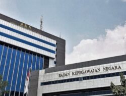 Resmi! BKN Umumkan Skema Kelulusan dan Penempatan PPPK 2024 Tahap 2, Kategori Ini Jadi Prioritas