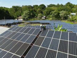 Pemerintah Pacu Pemanfaatan Energi Surya untuk Swasembada Energi