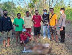 Penemuan Mayat Tanpa Identitas di Pantai Cemara Abudenok, Kapolsek Malaka Barat Beberkan Fakta