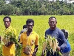 Pemerintah Dorong Kemandirian Ekonomi Papua Lewat Bantuan Sosial dan Pelatihan Keterampilan