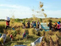 Hentikan Impor Beras, Indonesia Siap Swasembada Pangan Akhir 2025