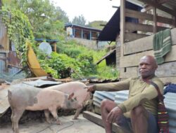 Bantuan Pemerintah Dapat Apresiasi, Sejumlah Kepala Suku Nyatakan Rasa Syukur atas Perhatian Negara