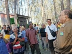 Dari Pantai Cemara Abudenok, Kisah Haru Orang Tua PPPK Malaka: “Terima Kasih Bapak Bupati SBS”