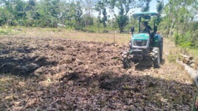 Pacul Tanah Gratis dan Bibit Unggul, Petani Desa Di Malaka Barat Berterima Kasih kepada SBS-HMS