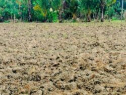 Dukungan Nyata untuk Petani: Warga Oanmane Akui Program SBS–HMS Sangat Membantu