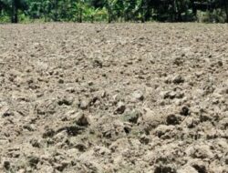 DPRD Malaka Dorong Penambahan Traktor untuk Optimalkan Program Balik Tanah Gratis