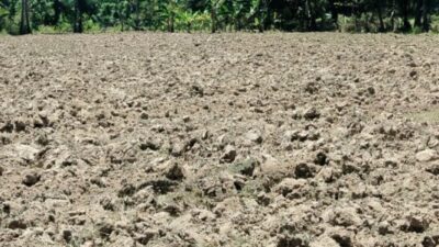 DPRD Malaka Dorong Penambahan Traktor untuk Optimalkan Program Balik Tanah Gratis