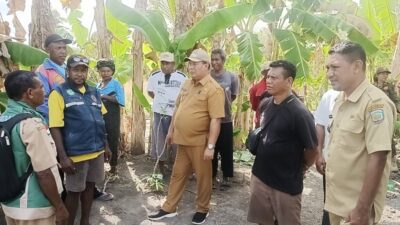 Wabup HMS Kunjungi Kebun Warga, Tunjukkan Gaya Kepemimpinan Dekat dengan Petani