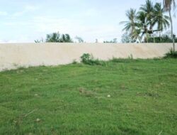 Tanggul Sepanjang 1 Kilometer di Desa Oanmane Tuai Pujian, Warga Nilai Kepemimpinan SBS–HMS Sangat Peduli