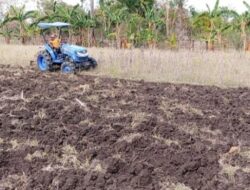 Petani Desa Taaba Puji SBS–HMS, Program Balik Tanah Gratis Ringankan Beban Warga