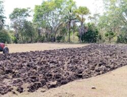 Warga Weliman Rasakan Dampak Nyata Program SBS–HMS, Petani: Pemerintah Hadir untuk Kami