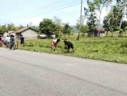 Pemdes Umakatahan Tegas Jalankan Program Jumat Bersih Sesuai Instruksi Bupati SBS