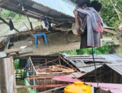 Puting Beliung Terjang Desa Sikun Malaka Barat, Dua Rumah Warga Rusak Tertimpa Pohon
