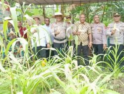 Sinergi Pemda dan Polri, Wabup HMS Hadiri Panen Raya Jagung Nasional di Polsek Malaka Timur