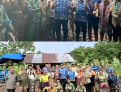 Bupati TTU Yosep Falentinus Kebo Terjang Banjir Demi Hadiri Panen Jagung di Insana