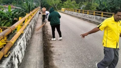 Dinas PUPR Malaka Bersihkan Sedimen dan Rumput Liar di Jembatan Motamoruk dan Motadelek, Wujud Nyata Perawatan Infrastruktur