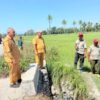 Sawah Raimataus Kekeringan, Wabup Malaka HMS Turun Langsung Pastikan Irigasi Diperbaiki