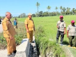 Sawah Raimataus Kekeringan, Wabup Malaka HMS Turun Langsung Pastikan Irigasi Diperbaiki