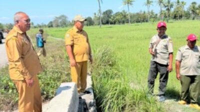 Sawah Raimataus Kekeringan, Wabup Malaka HMS Turun Langsung Pastikan Irigasi Diperbaiki